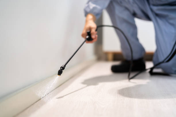 Licensed Mosquito Control service in Saxonburg, PA - Show Me Pest Control
