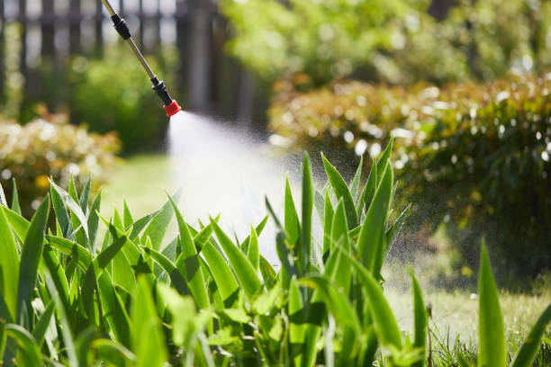 24/7 Emergency Mosquito Control experts in Saxonburg, PA